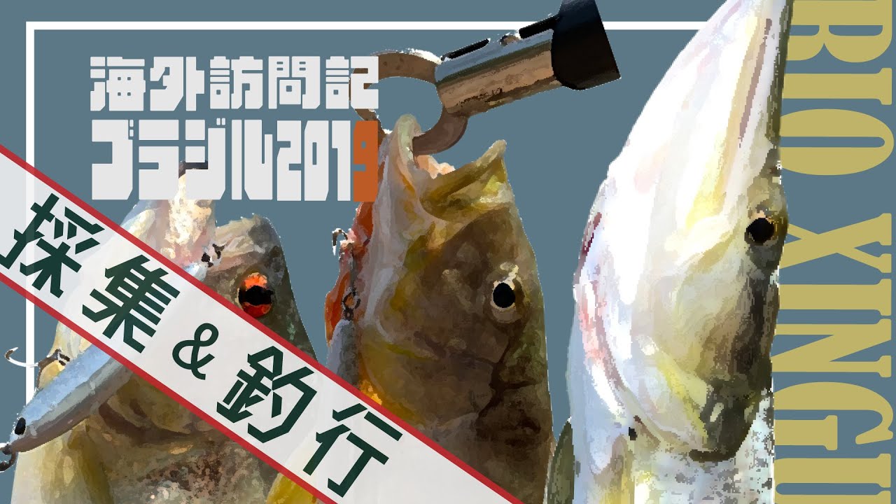 海外訪問記 ブラジル ～ 現地漁師の採集＆釣行に同行！ in サン