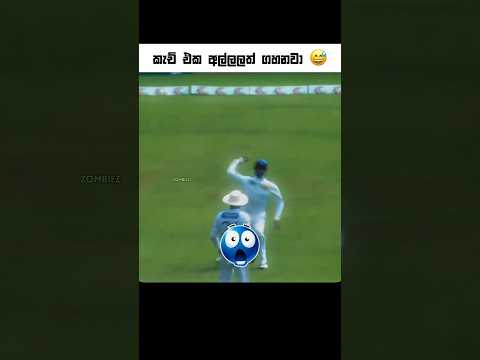 කකුලටමයි දුන්නේ 😹 #cricket #cricketshorts #shorts #trend