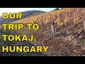 Hungarian Wine: Thoughts on Tokaj