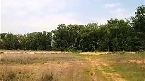 Homes for Sale - 2300 Wineland Jonesboro AR 72404 ...
