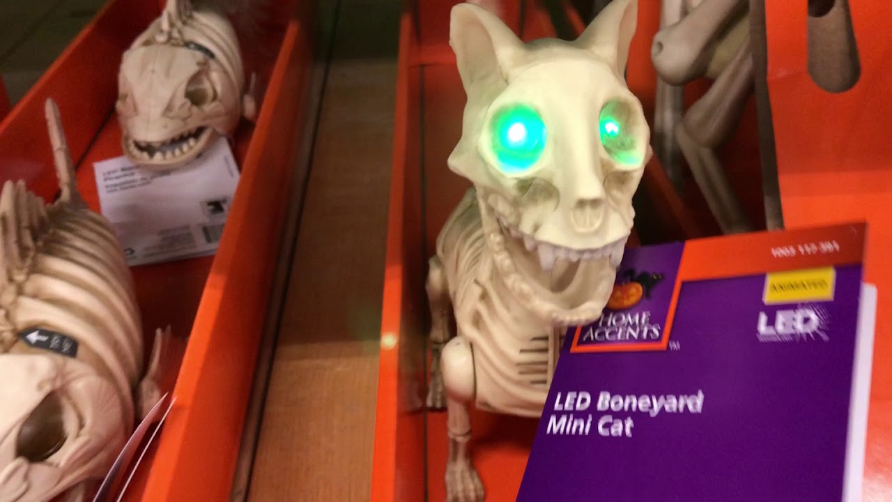 Home Depot Halloween 2018 Animated Skeleton Kitten YouTube