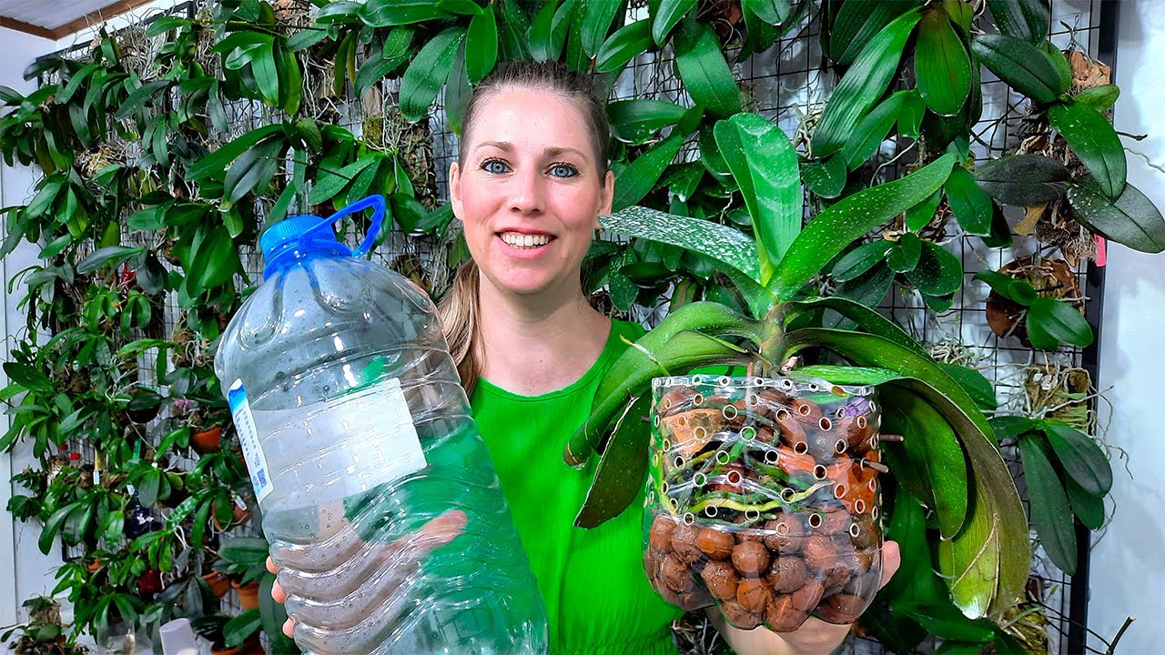 COMO FAZER VASO DE GARRAFA PET PARA PLANTAR ORQUÍDEA NA SEMI HIDROPONIA