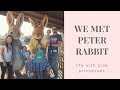 PETER RABBIT AT WILLOWS ACTIVITY FARM 2019 | VLOG 46