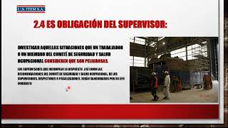 Comite de Seguridad y Salud Ocupacional DS024