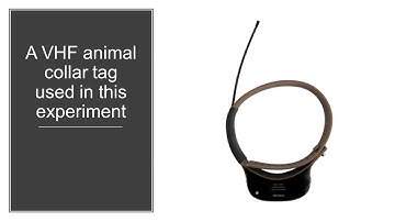 TrackerBots: Autonomous UAV for real-time tracking of multiple radio-tagged animals - JoFR 2019