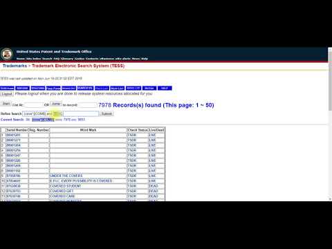 Самостоятельный поиск марки в США. Как пользоваться сервисом TESS