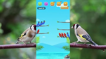 bird sort color puzzle game level 23 😂😂😂