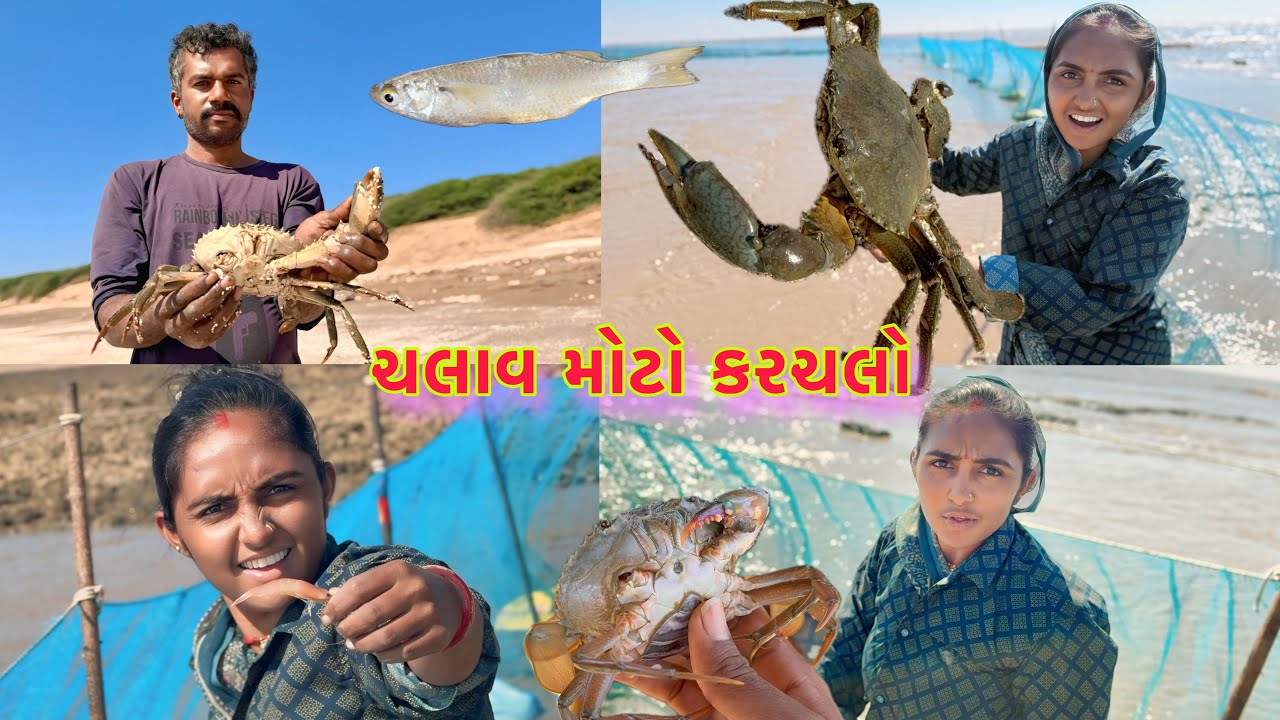 વેલજીભાઈ એ જાળ મા થી કરચલો પકડયો 🥅🦀 Big size crab fishing 🎣 dariyai khedut