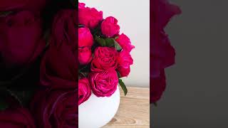 Elegant Pink Roses for a Chic Home 🌸✨