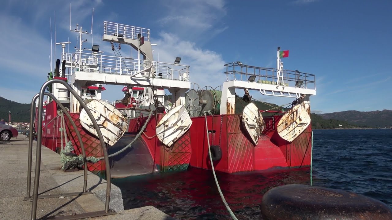 PUERTO DE MUROS RIA DE MUROS NOIA CORUÑA GALICIA ESPAÑA 31102024       Mi proyecto 575 2024 10 31 15