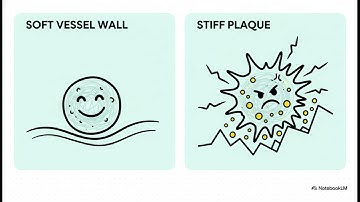 Immunity in motion: The role of mechanics in macrophage biology