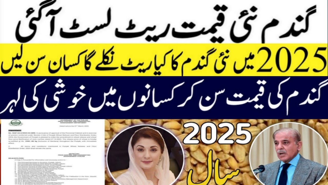 Today Wheat price in punjab | گندم کا ریٹ 2025 | wheat price 2025 in ...