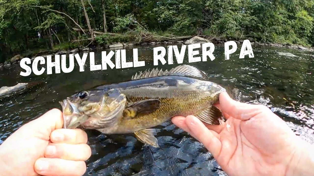 Schuylkill River Smallmouth Bass Fishing (PA)