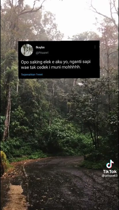 Story Wa : Opo saking elek e aku yo