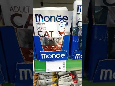 Цены на корм для кошек #ценывроссии #жизньвроссии #зоомагазин