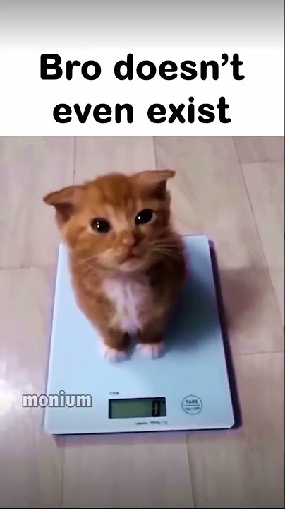 Download lagu Bro doesn’t even exist