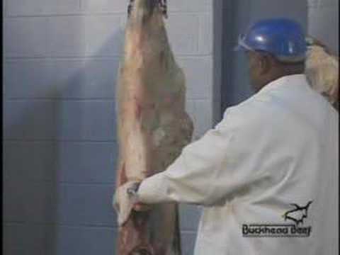 Beef Carcass Break Down 1 - butcher