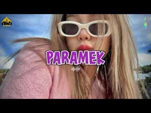 lagu dj terbaru 2024 papa Agung (dj paramek)🤸‍♀️🍁
