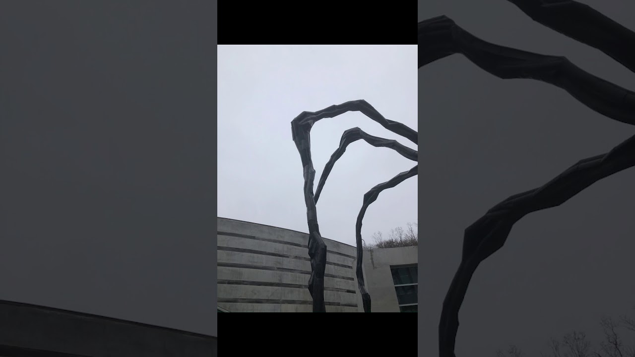 Mamon Final Project- Sarah Lowe