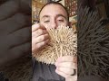 Most toothpicks in a beard - 3,500 by Joel Strasser 🧔