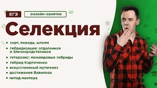 ⁣Селекция | ЕГЭ Биология | Даниил Дарвин