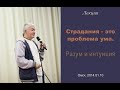 Александр Хакимов - 2014.01.10, Омск, Страдания - это проблема ума. Разум и интуиция