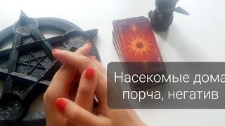видео: Насекомые в доме, квартире появились. Приметы, порча, негативная энергия картинка: Насекомые в доме, квартире появились. Приметы, порча, негативная энергия