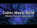 【1時間】忘れられた森の遺跡の旋律 | 記憶を呼び覚ますノスタルジック・ケルトBGM