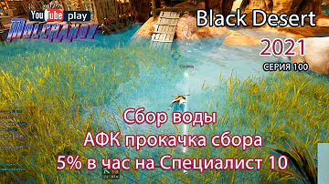 Сбор воды. АФК прокачка. Black Desert Фарм серебра 2021.