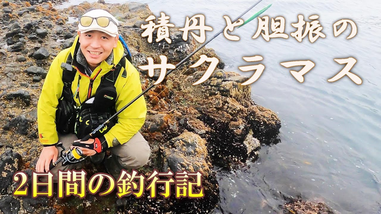 【ショアサクラマス】日本海と太平洋で釣ってきました