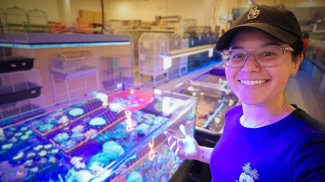 I Have to DOUBLE My Buying Power With Coral Deals