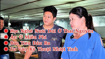 Đào Tạo Nghề Nuôi Dúi, Ăn Ở Miễn Phí Ở Thái Nguyên Hợp Tác Xã Bao Đầu Ra Và Tư Vấn Kỹ Thuật.