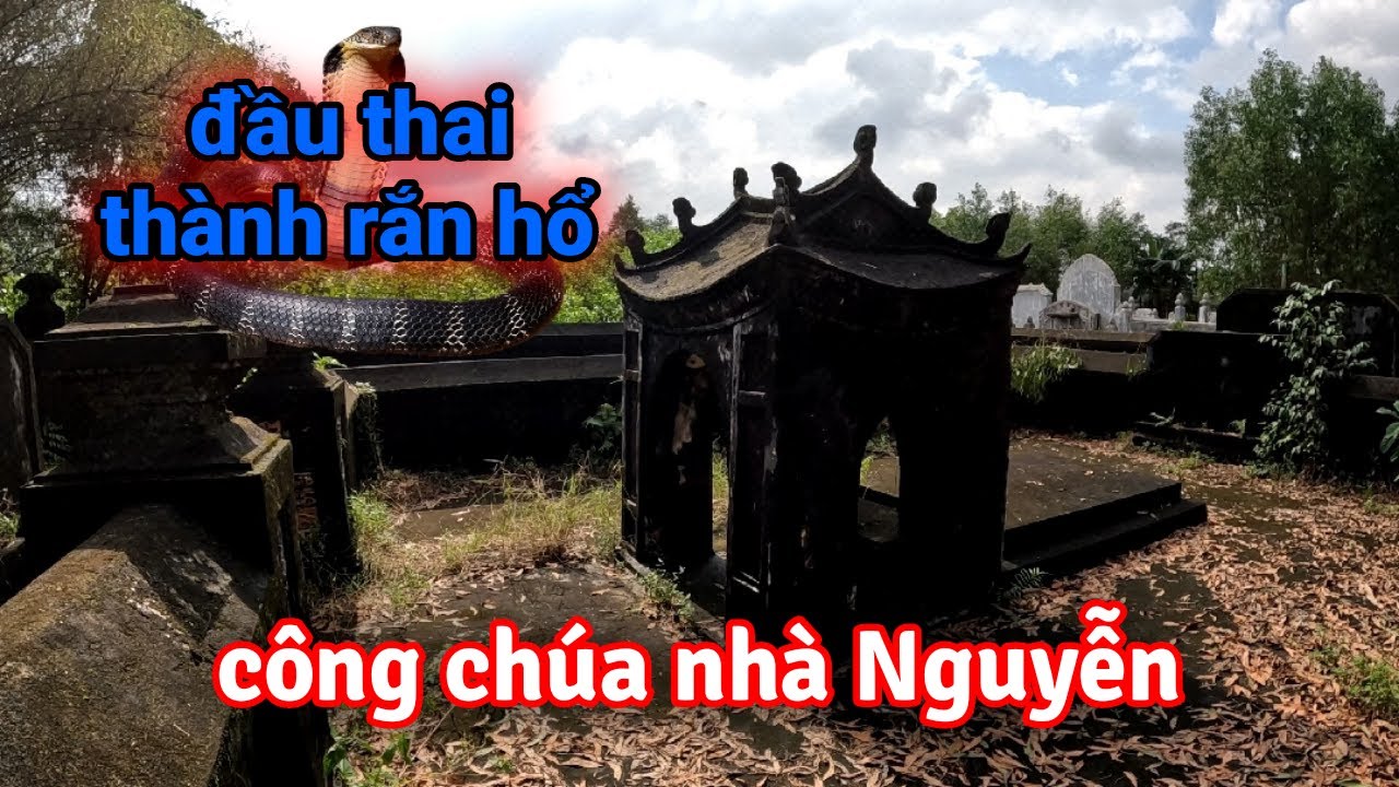 Bí ẩn mộ cổ công chúa nhà Nguyễn đầu thai thành rắn hổ mang