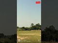 @din_esh918 #din_esh918 #cricket #shot cricket shots video status;#trending #tiktok
