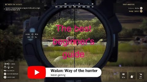 Way of the Hunter: beginner guide and tips