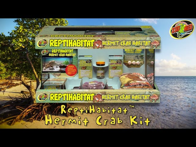 reptihabitat hermit crab kit