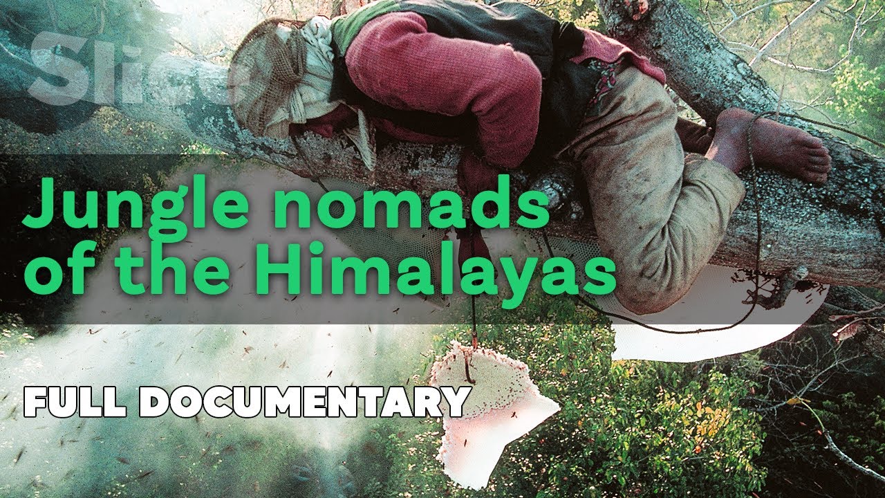 Jungle Nomads of the Himalayas