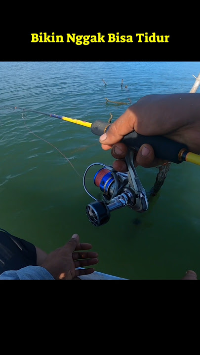 Detik Detik Pemancing Di Buat Tidak Bisa Tidur #fishing #ikan
