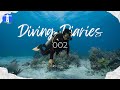 Diving diaries 002 sinandigan boulders  coral cove wreck