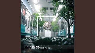 Stories