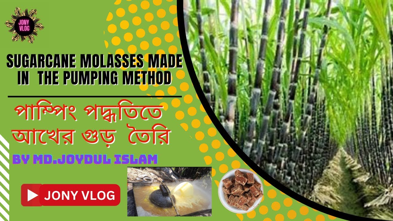 Sugarcane Molasses Made In Pumping Method Chapi Shibgonj Rajshahi