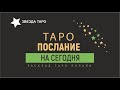 ЧТО МНЕ НУЖНО ЗНАТЬ ПРЯМО СЕЙЧАС ПОСЛАНИЕ ОТ ВЫСШИХ СИЛ. СОВЕТ ОТ КАРТ . ГАДАНИЕ ТАРО ОНЛАЙН