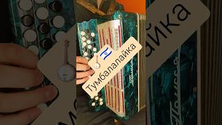 Тум-балалайка טום־באַלאַלײַקע #bayan #баян #accordion #аккордеон #folk #одесса #odessa #одеса