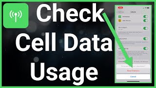 How To Check Cellular Data Usage On iPhone screenshot 5