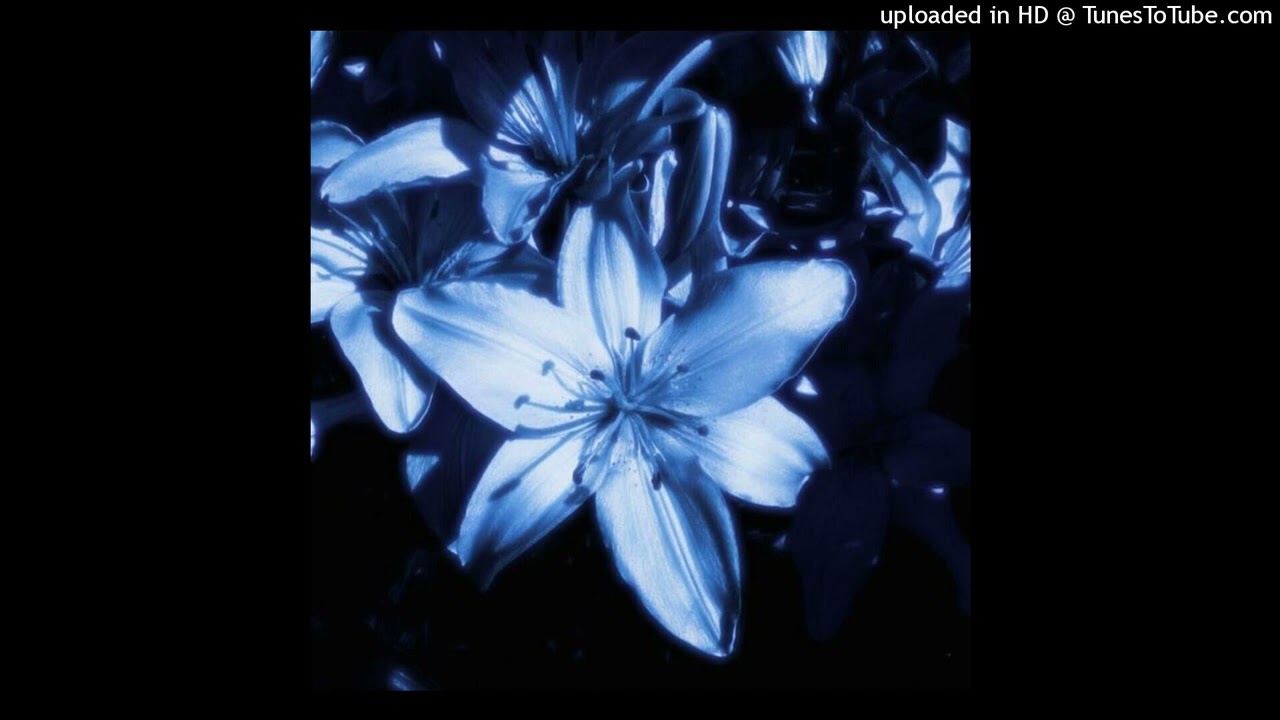 [FREE] DOOMEE • PITTKIID type beat - 