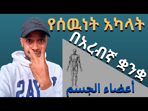 ቪዲዮ: ሚርያም በአረብኛ ምን ማለት ነው?