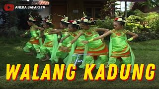 Dytta Ridwanda Gypsie - Walang Kadung (Official Music Video)
