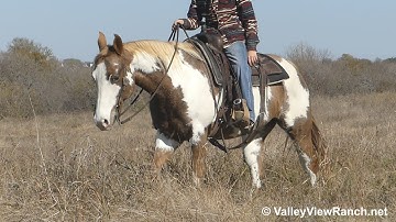 Lucky Shes Mine - trail riding! - ValleyViewRanch.net