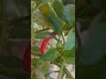 لا يحزنك أنك فشلت ما دمت تحاول الوقوف على قدميك من جديد