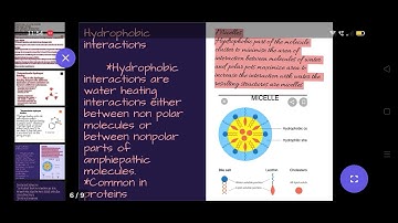 non covalent interactions among biomolecules